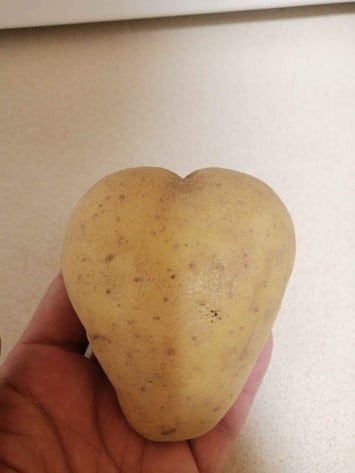 Heart shaped potatoe stock photo. Image of like, food - 14557822